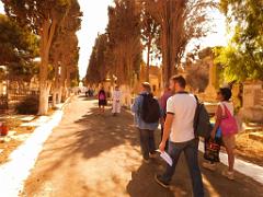 VOYAGE EN ORANIE DU 15 AU 22 SEPTEMBRE 2017 (60)